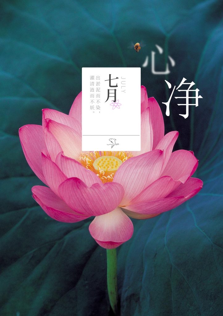 7月手帐封面