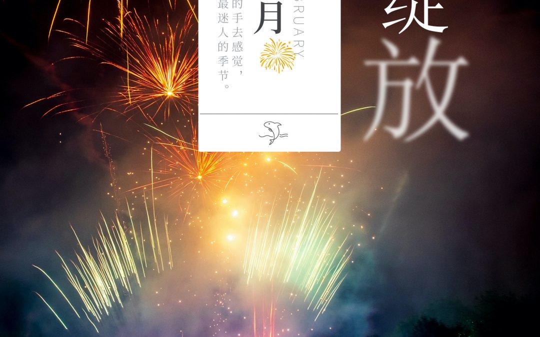 自在手帐2020年电子版2月免费版