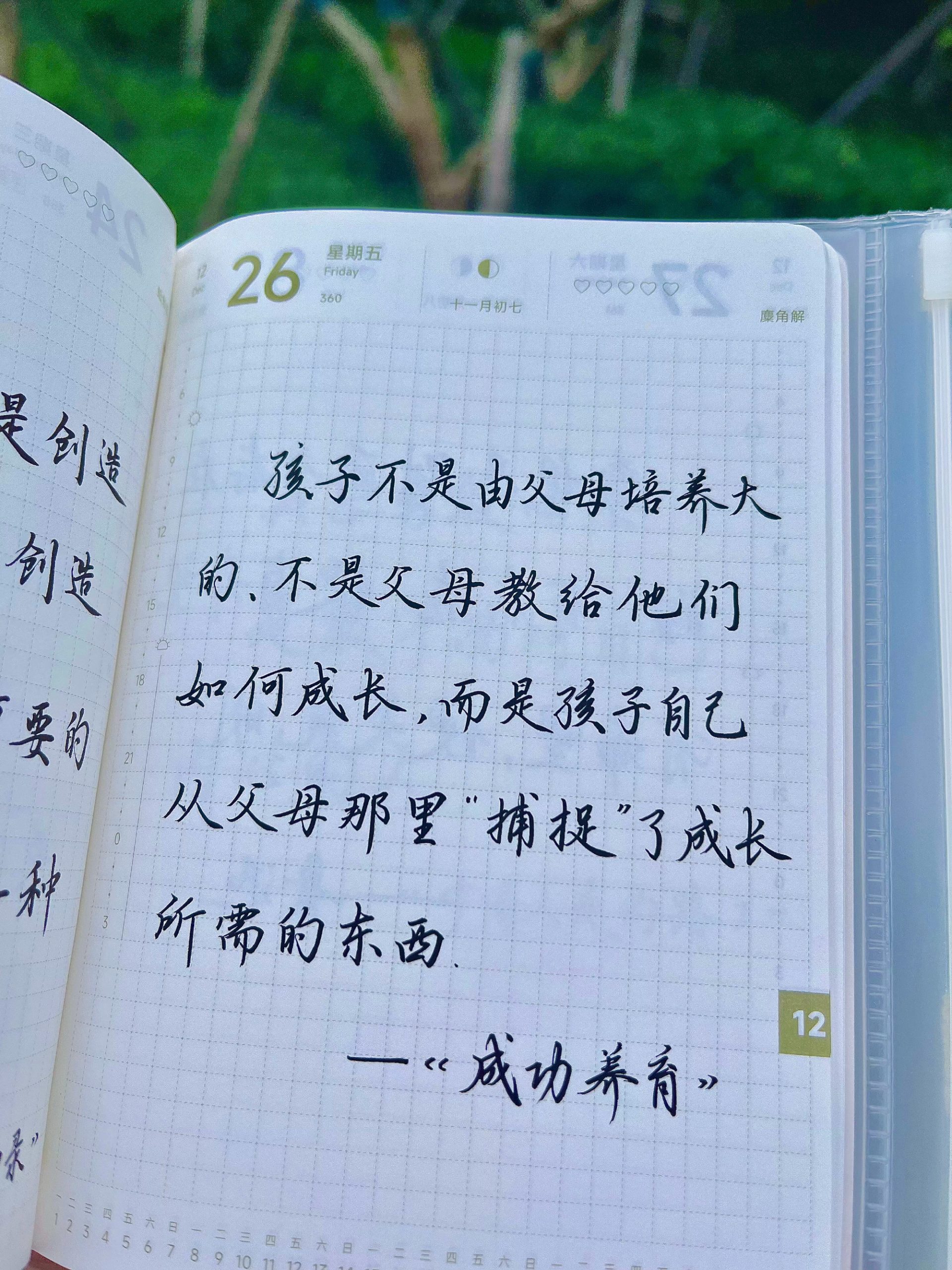 孩子天生是顶级观察家