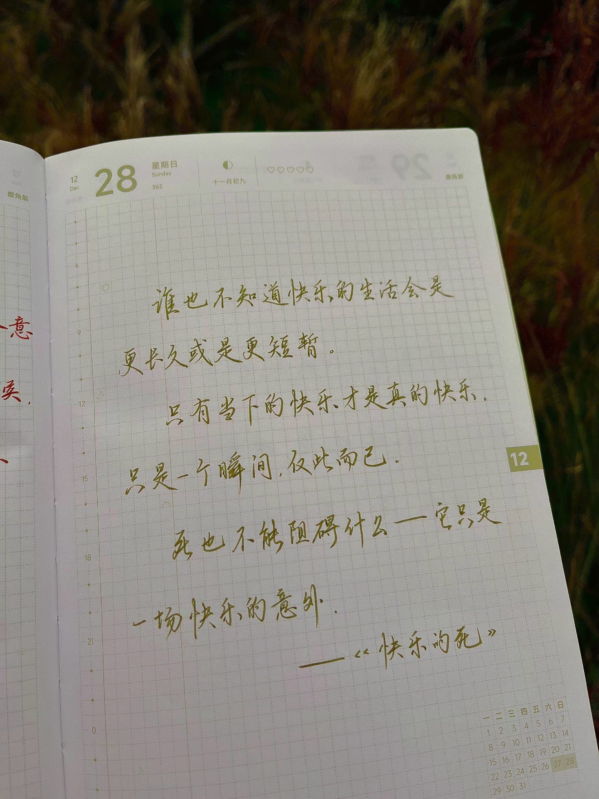 快乐是即开即用的体验装